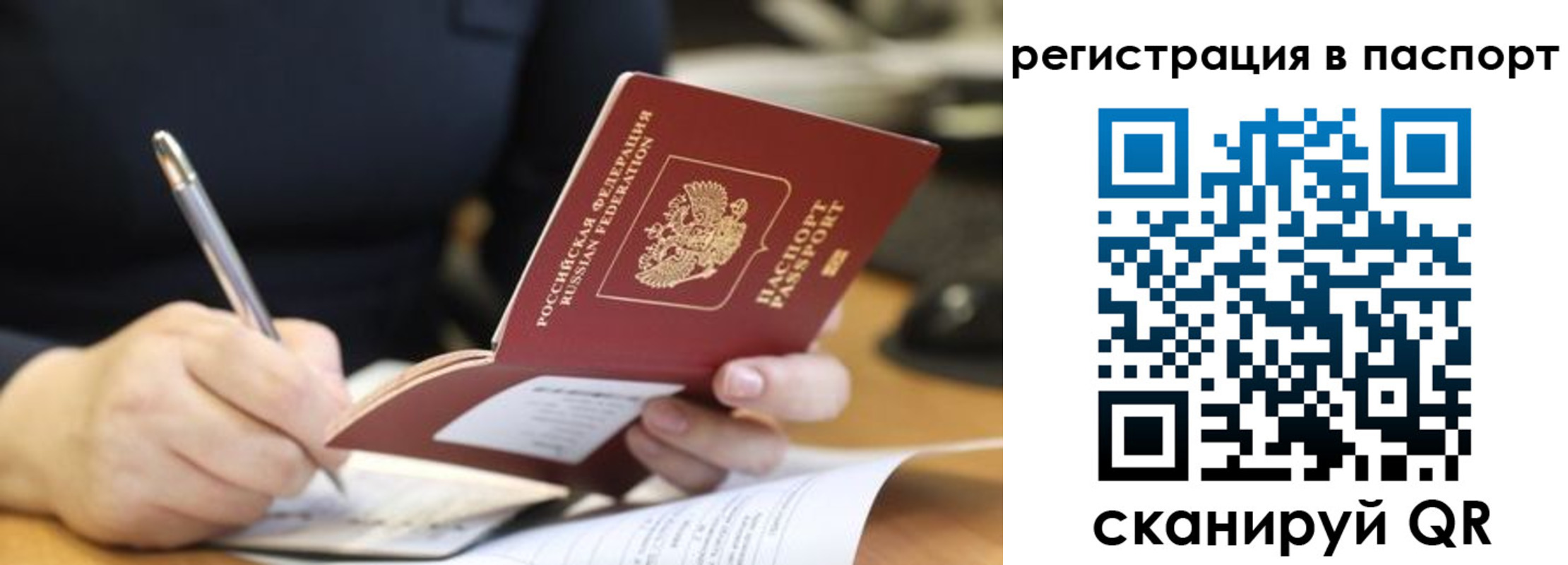 прописка для работы в Павловске